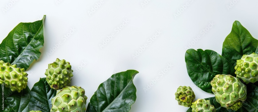 Aufkleber noni fruits displayed on a blank white backdrop with space for copying images.