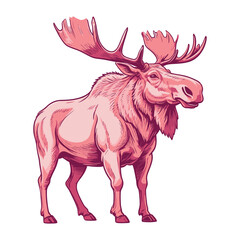 Hand Drawn Moose Illustration