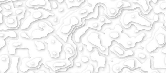 Abstract white wave paper curved reliefs background design. The black on white contours topography stylized relief diagram line wave carve pattern background.