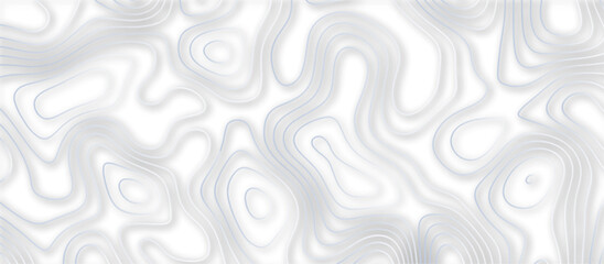 Abstract topographic contours 3d map background .topographic line texture background .monochrome image .stylized height of the topographic map contour in lines.	