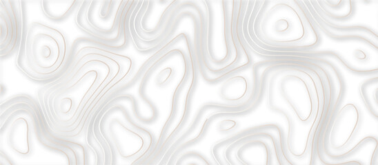 Fototapeta premium Abstract topographic contours 3d map background .topographic line texture background .monochrome image .stylized height of the topographic map contour in lines. 