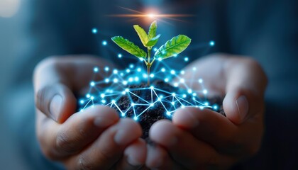 Hands holding a growing plant with a network of light connections, symbolizing innovation, growth, and sustainability.