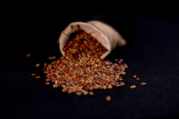 Horse gram