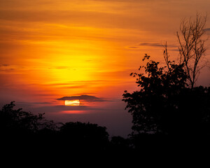 sunset in a grassland in jungle, Jehanabad, Bihar, Inda