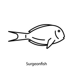 Surgeonfish, line icon. Tang fish icon. Tropical fish, coral reef dweller. Sea life icon. Linear illustration, editable stroke, thin line.