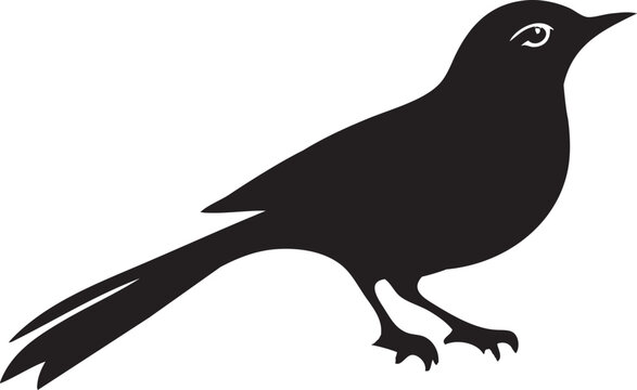 recommend clip art: Bird silhouette vector art illustration