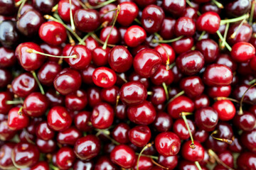 Cherry background, texture. Lots of cherries, top view. Cherry for background and screensaver. Cherry berry wallpaper, background. Bunch of red cherries.