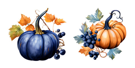 Autumn pumpkins, watercolor clipart illustration with isolated background.
