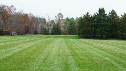 The wide playground view surrounded by the colorful forest woods in autumn