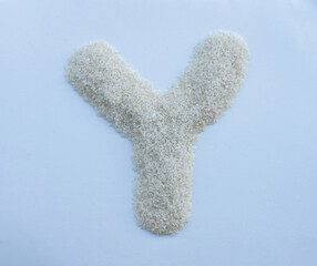 White Rice Grain Alphabet Letter Y