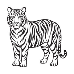 Obraz premium A black and white tiger face