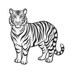 Obraz premium A black and white tiger face