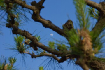 辻堂海浜公園　辻堂海岸の風景
海辺の春