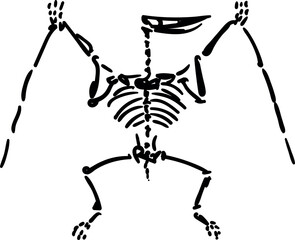 Pterodactyl skeletons. Dino bones. Remains of ancient animals vector illustration set