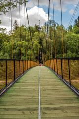 Landscapes -  Forest - Europe, Romania, Suceava region