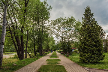 Landscapes -  Forest - Europe, Romania, Suceava region