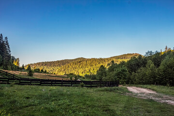 Landscapes -  Forest - Europe, Romania, Suceava region