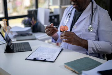 A doctor is examining a brain model on a desk