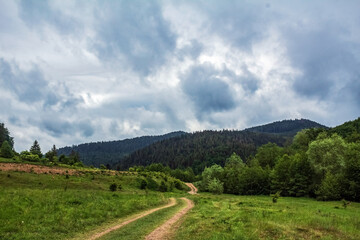 Landscapes -  Forest - Europe, Romania, Suceava region