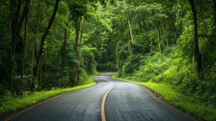 Fototapeta premium Scenic road passing through a rich green forest, representing the environmental benefits of a healthy rainforest and sustainable practices