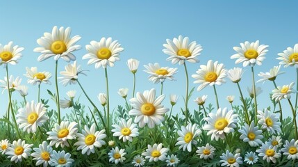 Vibrant Field of Daisies in Springtime
