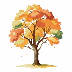 autumn tree isolated on white