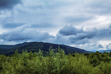 Landscapes -  Forest - Europe, Romania, Suceava region