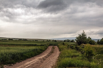 Obraz premium Landscapes - Forest - Europe, Romania, Suceava region