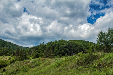Landscapes -  Forest - Europe, Romania, Suceava region