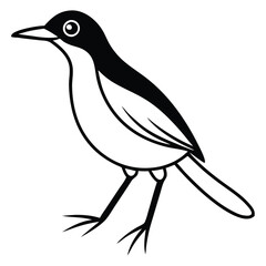 Fototapeta premium Bird one line art, vector Illustration in Black and White 