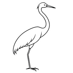 Obraz premium crane bird type outline, one line art, vector solid white background.