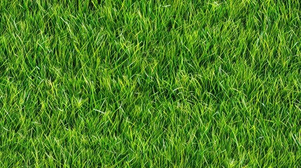 Lush green blades of grass in a field illuminated by bright sunlight SEAMLESS PATTERN