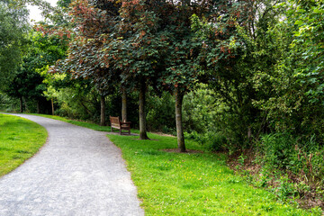 Riverside Country Footpath with Trees and Wooden Bench Seating on a Summer Morning