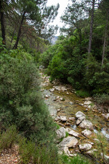 Borosa River Trail, Cerrada de Elías, Sierra de Cazorla National Park, Jaén, Andalusia. Spain