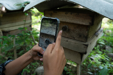 Fototapety na wymiar - Fototapeta24.pl