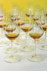 Organized Lineup of Scotch or Rum Glasses on Table