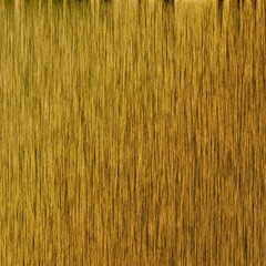 Gold Brown Wooden Textured Background. Handcrafted Wood Panel for Modern Outdoor Furniture. Organic Wood Wall Panel. Rustic Board.