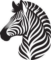 Black and White Symphony The Zebra's Tale