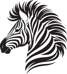 Black and White Symphony The Zebra's Tale