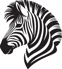 Black and White Symphony The Zebra's Tale