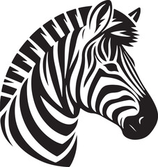 Black and White Symphony The Zebra's Tale