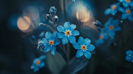 Close up of blue forget-me-not flowers on a dark background, macro photography with blurred edges and a bokeh effect, natural light with professional color grading, soft shadows and no contrast, clean