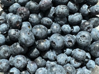 Fresh blueberries with water drops background. Top view. Sweet blueberry with copy space. Natural conditions.