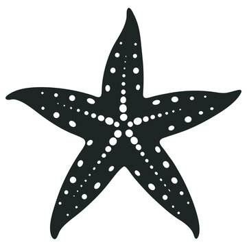 recommend clip art: illustration of a starfish