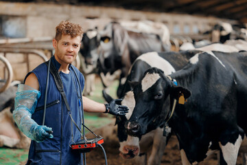 Portrait veterinary doctor young man on background cow. Concept love to animals and health care for...