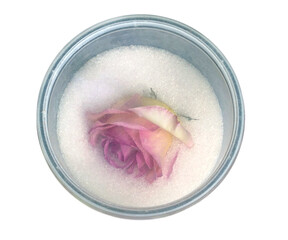 Fresh flowers are dried with silica sand and silica gel. It is a method of drying flowers that...