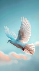 Obraz premium White dove flying in the sky