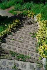 Stone stairs in the park among the grass, top view