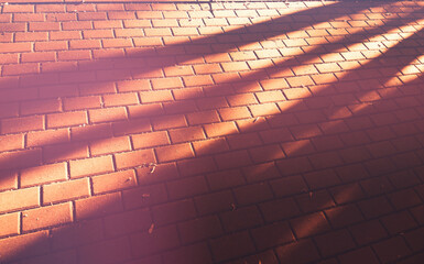 Fototapeta premium Sunset light rays and shadows on street pavement