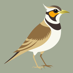 Horned Lark Vector Drawing Realistic Wildlife Illustration